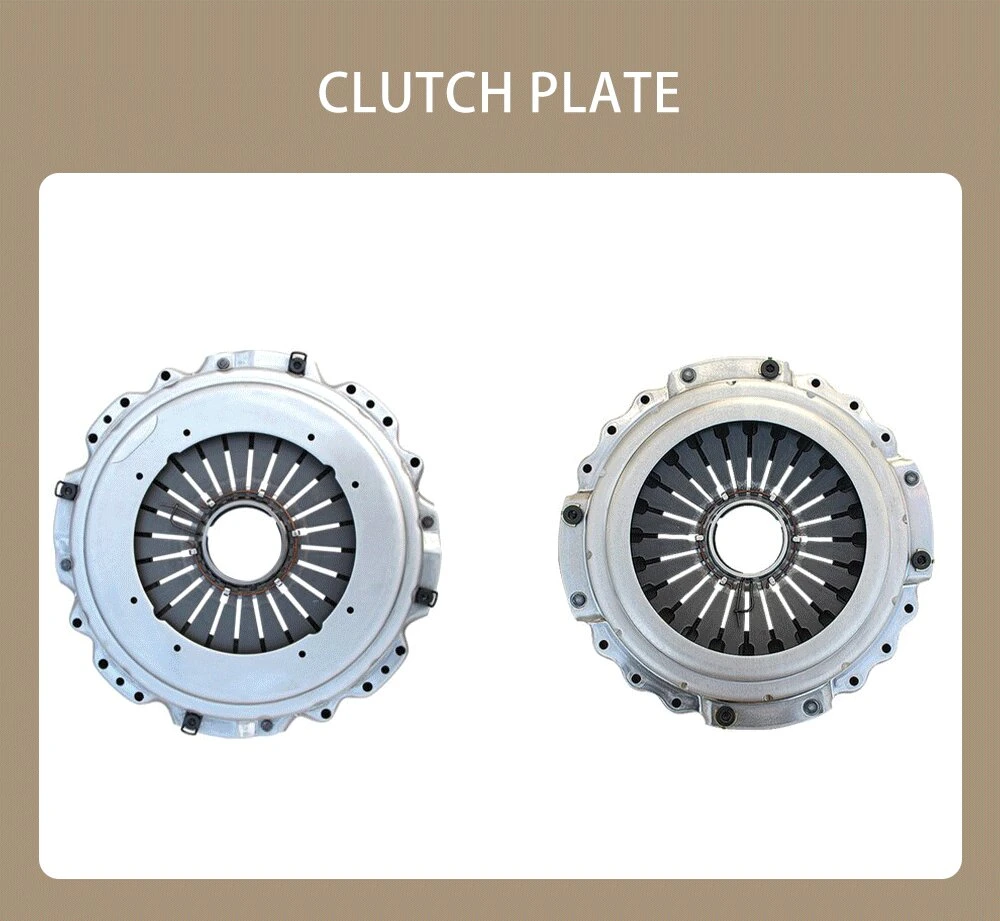 Clutch Plate Truck Clutch Disc for 2 4307 Good Price Wholesale