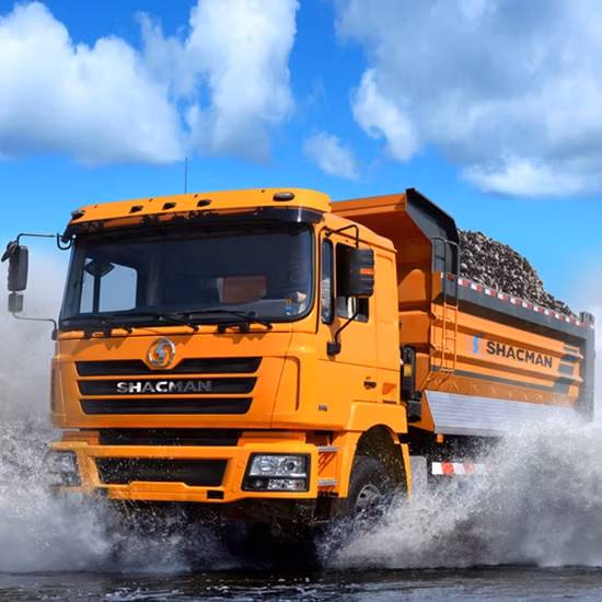 Certificat russe Dumper Truck Sx3256dr384 Camions Shacman